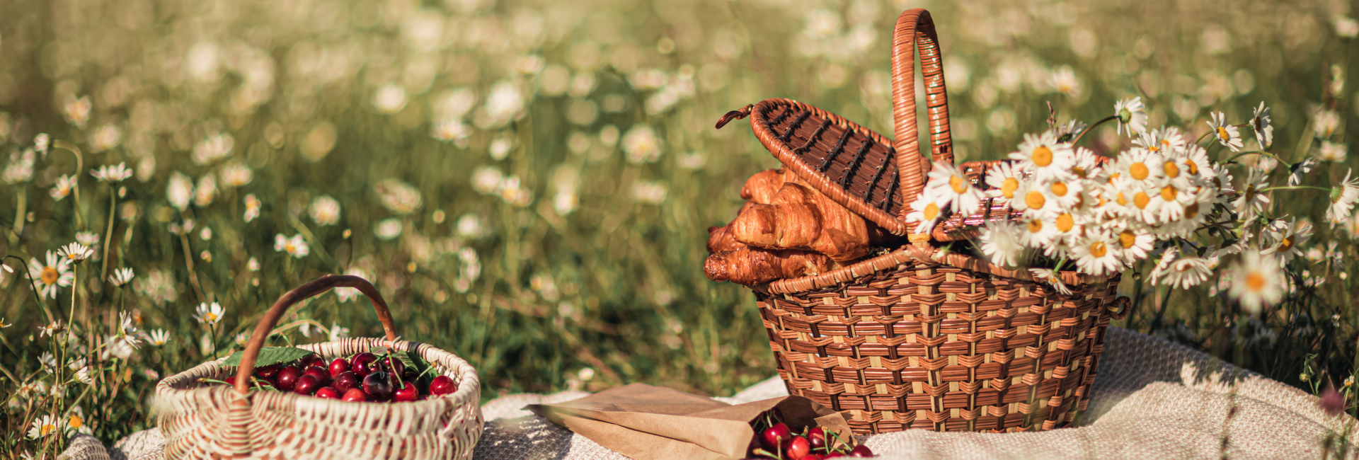 picknick